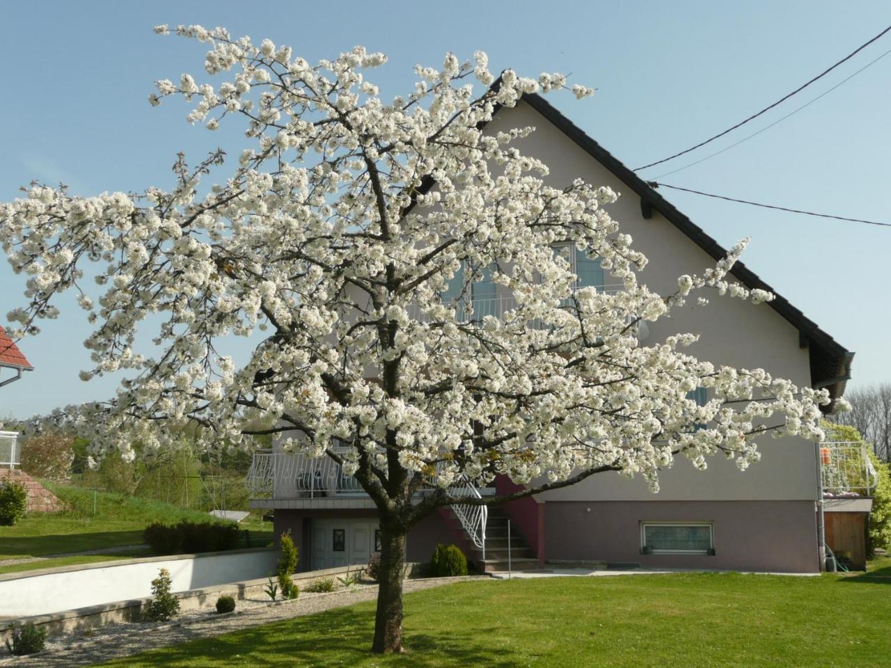 Bed and Breakfast Chez Anny Et Jean Au Mittelbuehl-Reichshoffen Exteriér fotografie